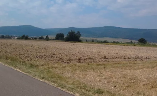 Ultra Camp Mrukowa - Mistrz Iron Run zaprasza! - 4